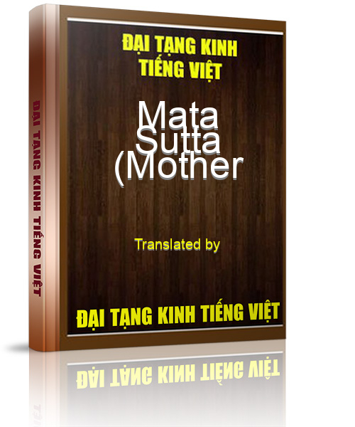 Đại Tạng Kinh Việt Nam